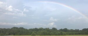 Rainbow above a line of trees